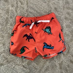 Hanna Andersson dinosaur swim trunks